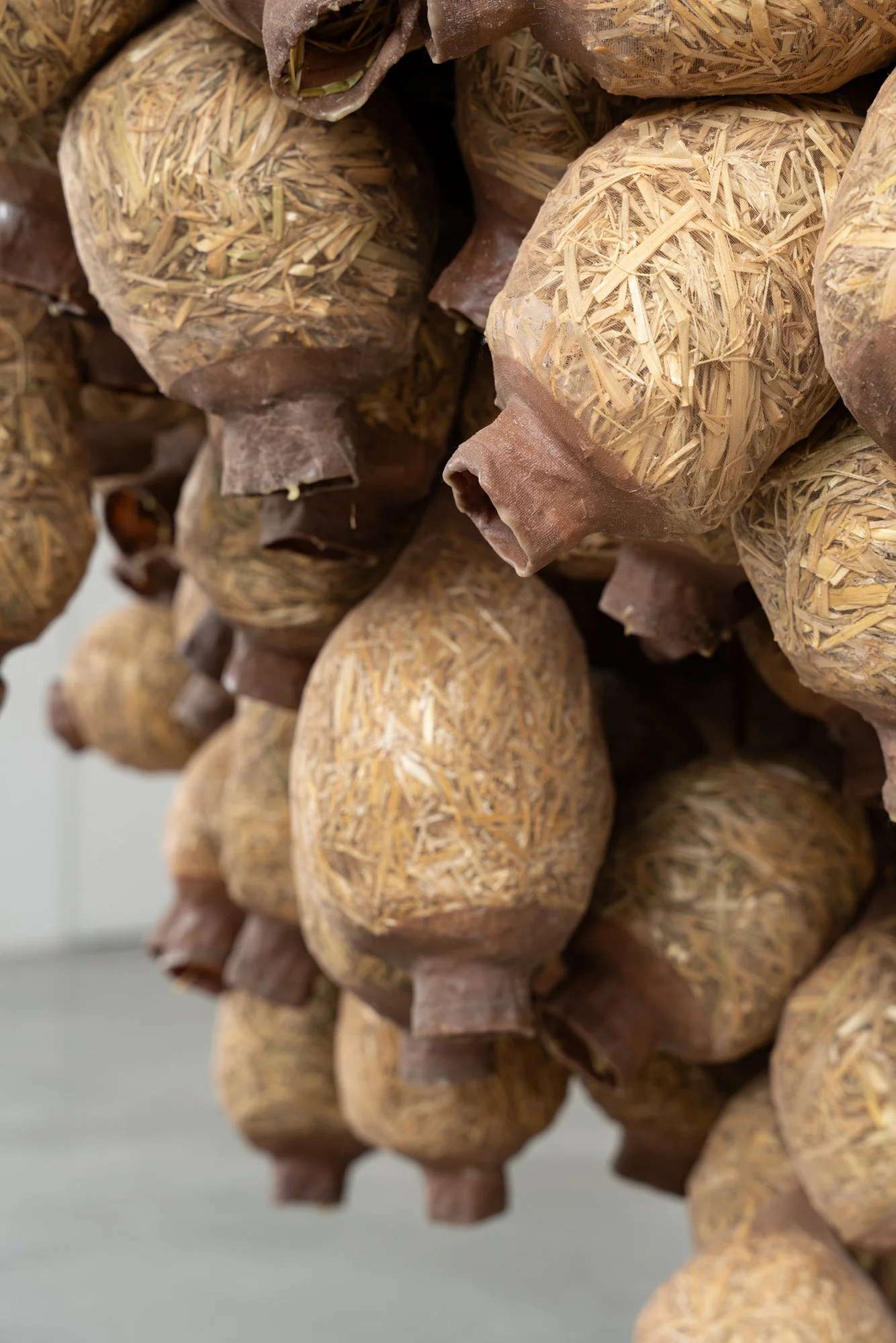 CARVALHO_Kat Howard_2026_15_LR.jpg