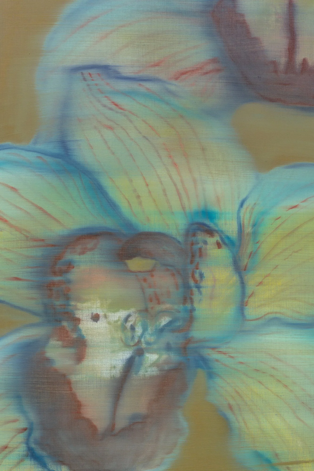 Heath Wae_HW026_Meridian 02 — Mg_2026_3_LR.jpg