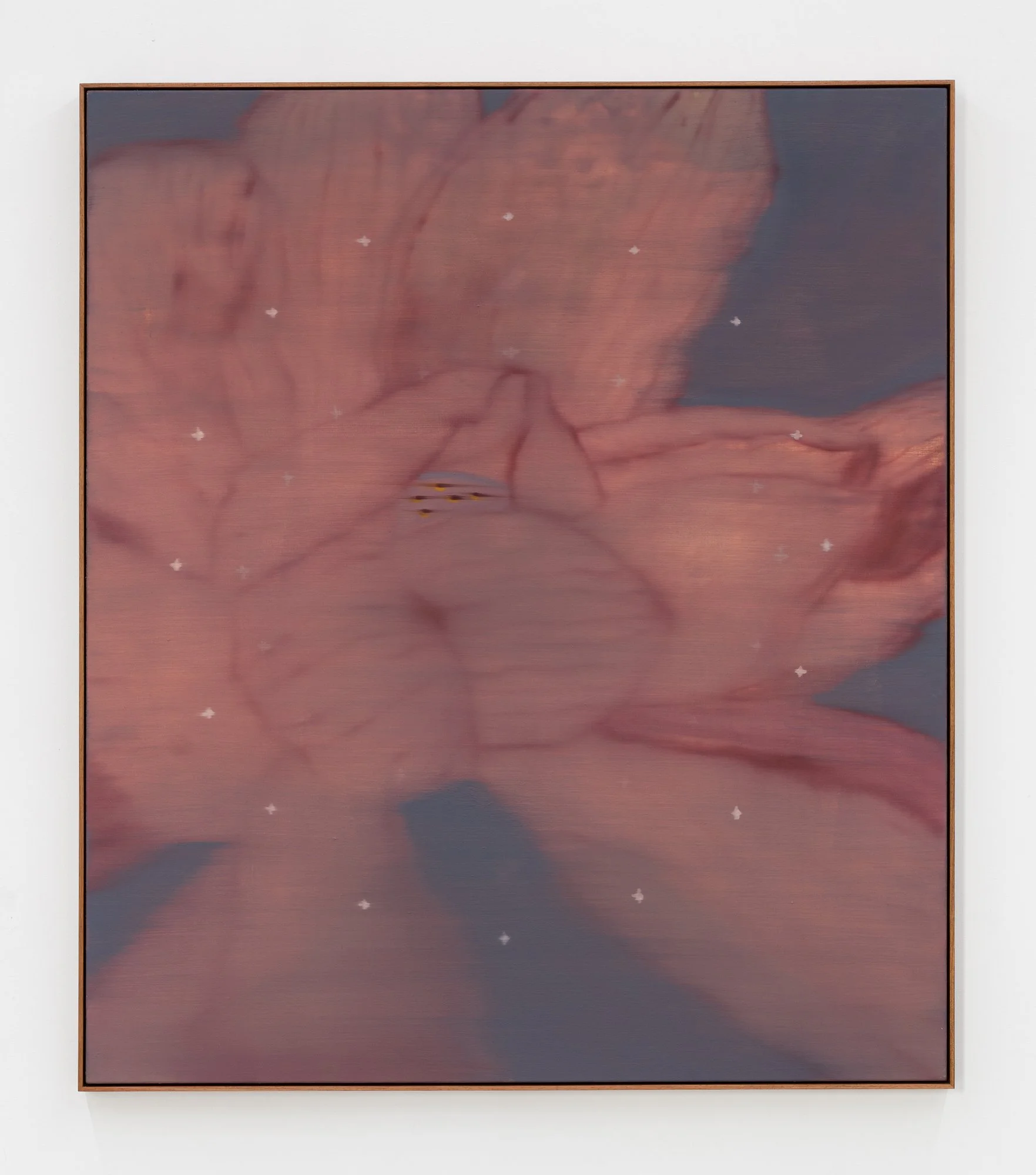 Heath Wae_Meridian 08 — Cu_2026_1_LR.jpg