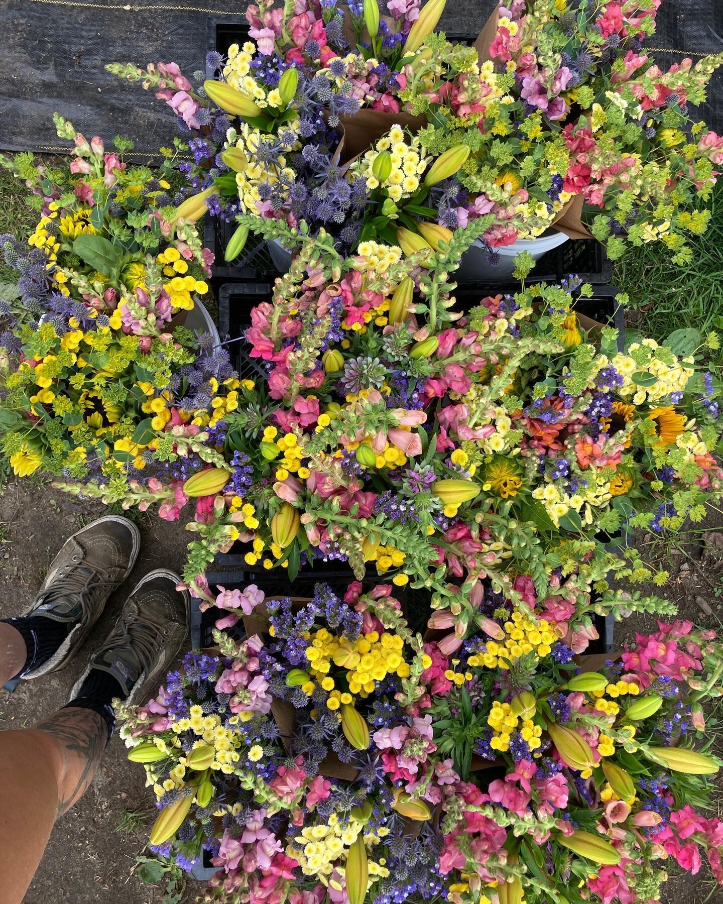 Another day, another bouquet. Lots of freshies at the stand today, and for the rest of the week. Today the Wednesday CSA members come to pickup their flowers, and we will be working in the fields and tunnels. Planting our final round of Lisianthus, p