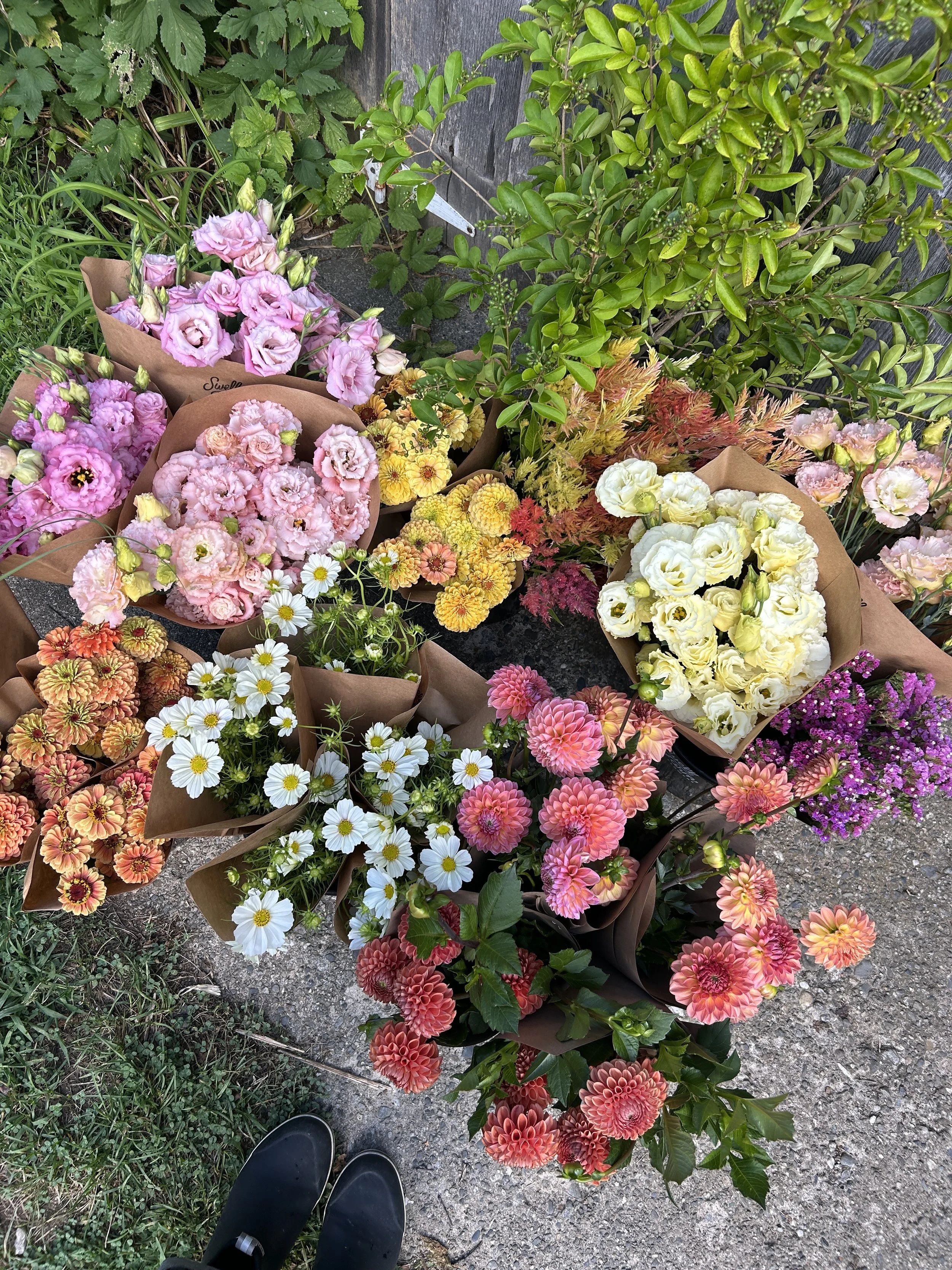 August - Custom 
