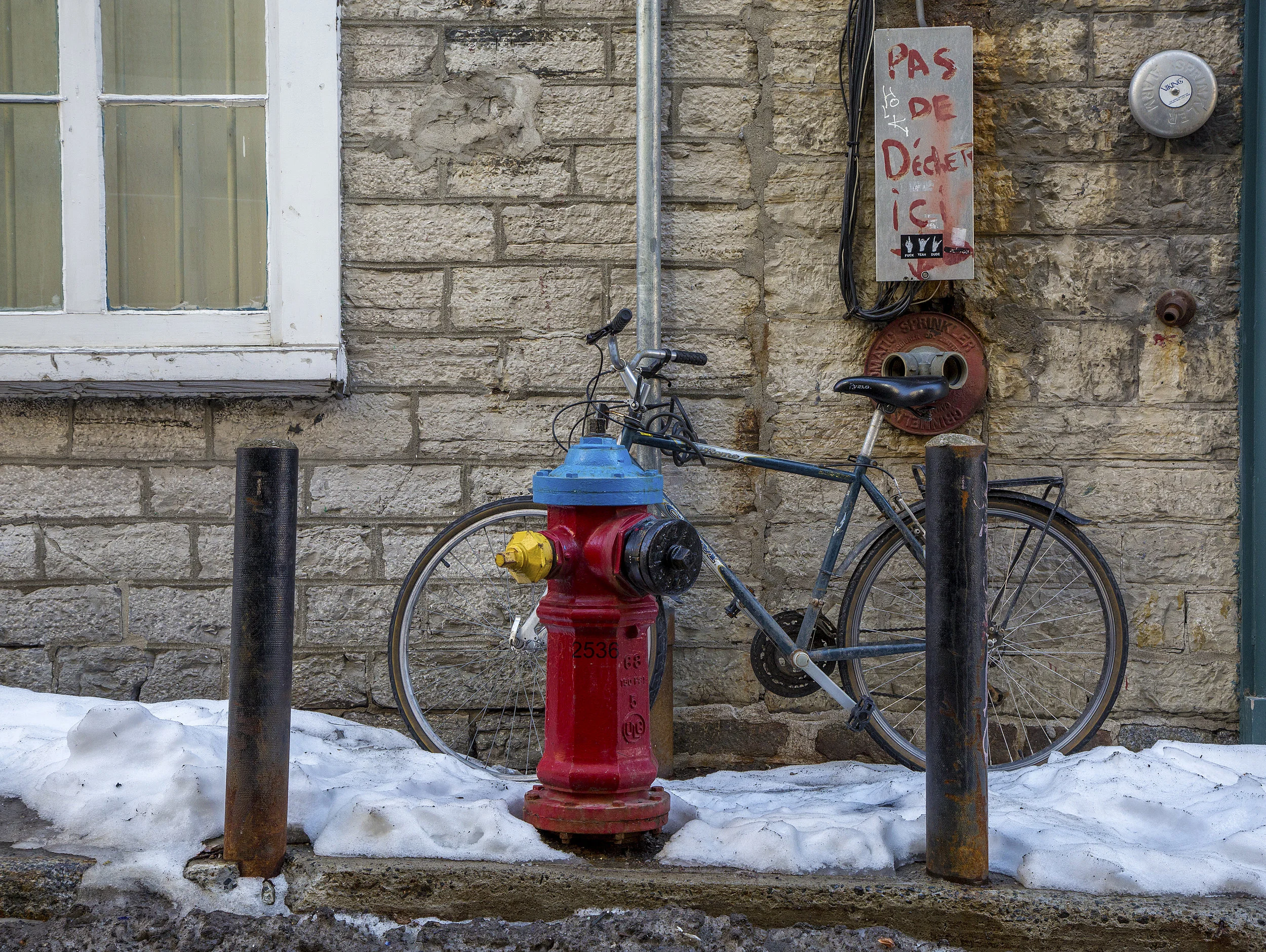 Vélo1(smaller).jpg
