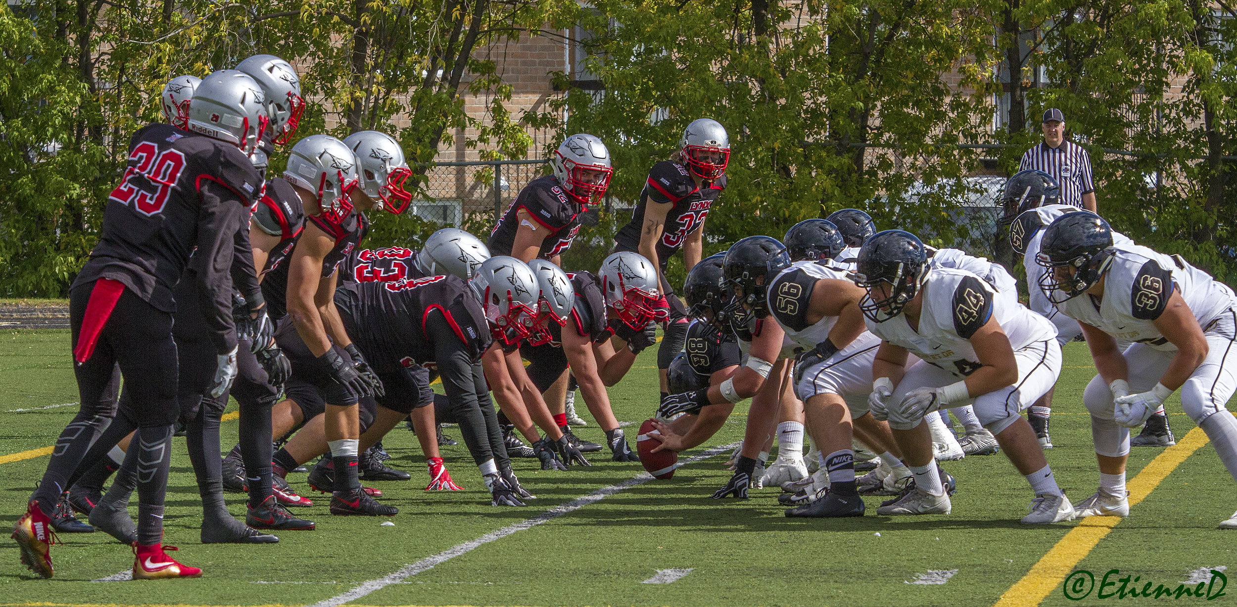 FieldGoal_IMG_6552.jpg