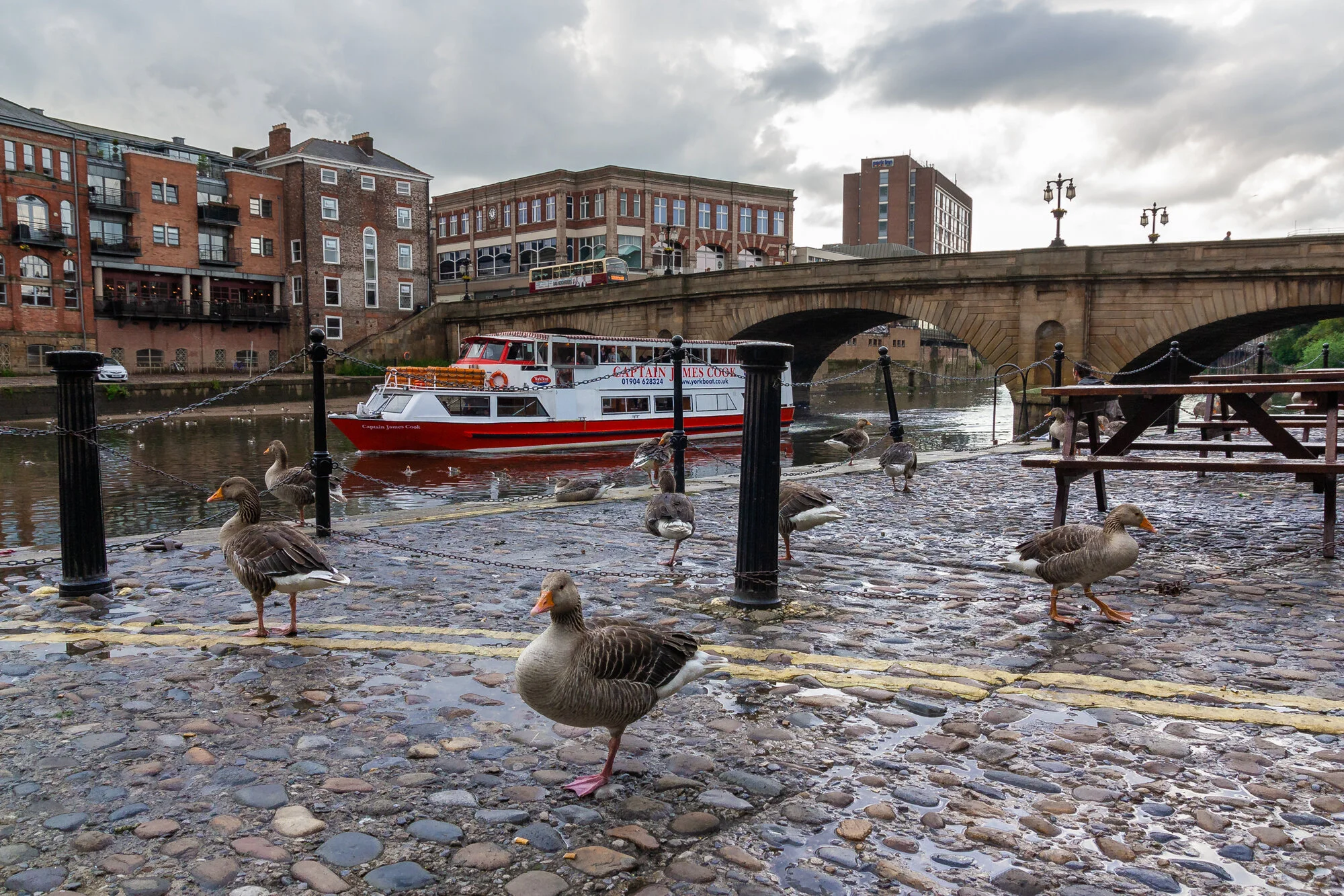 Angleterre-8954.jpg