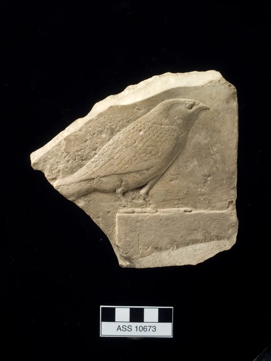 P1010469 copy 2-3.jpg