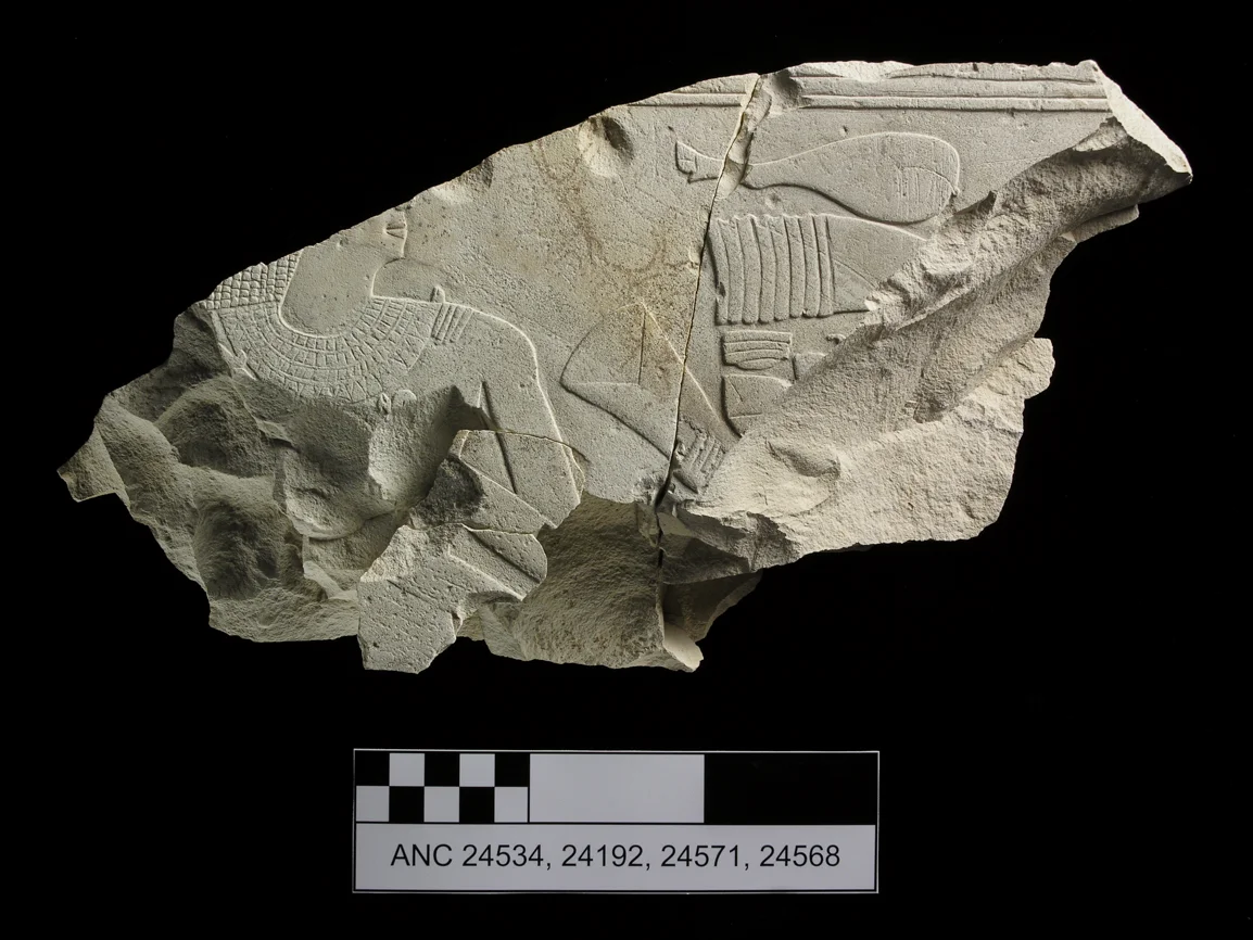 s194 copy 2-1.jpg