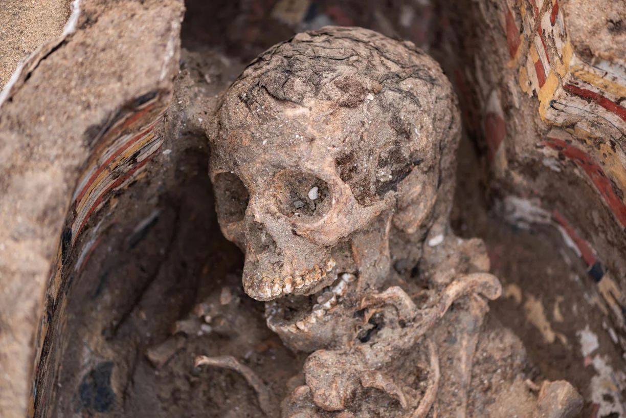 Fig. 22. Burial of a young woman, with hair intact, inside the painted, anthropoid coffin discovered outside the east corner gateway of the Shunet el-Zebib. Photo: Ayman Damarany / North Abydos Expedition © 2019