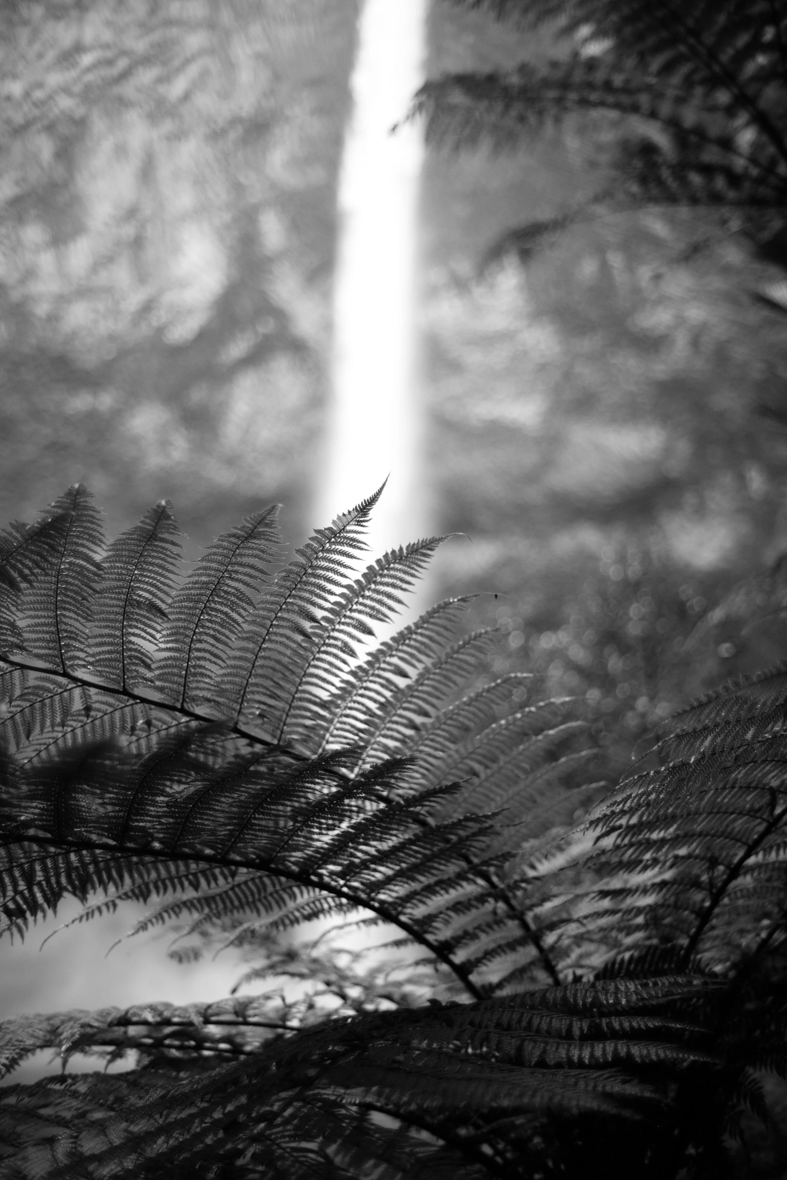 L1005647.JPG