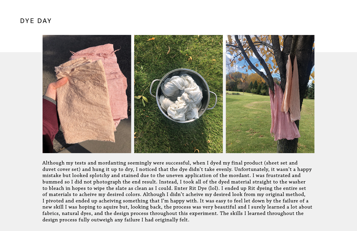 Dyeing Portfolio5.png