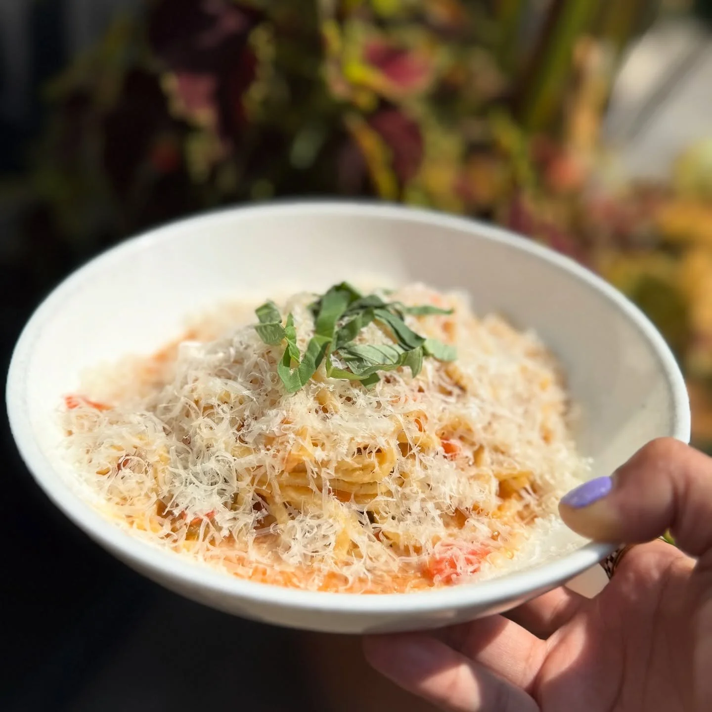 You have one last day to grab our spaghetti 🍅 ✨ pomodoro! It will definitely be gone by mid-week. 

While heirloom tomato season might be leaving us, that means more room for oldies but goodies to return. So stay tuned. 😊 🍝 

🥬 ❔
&bull;
&bull;
&b
