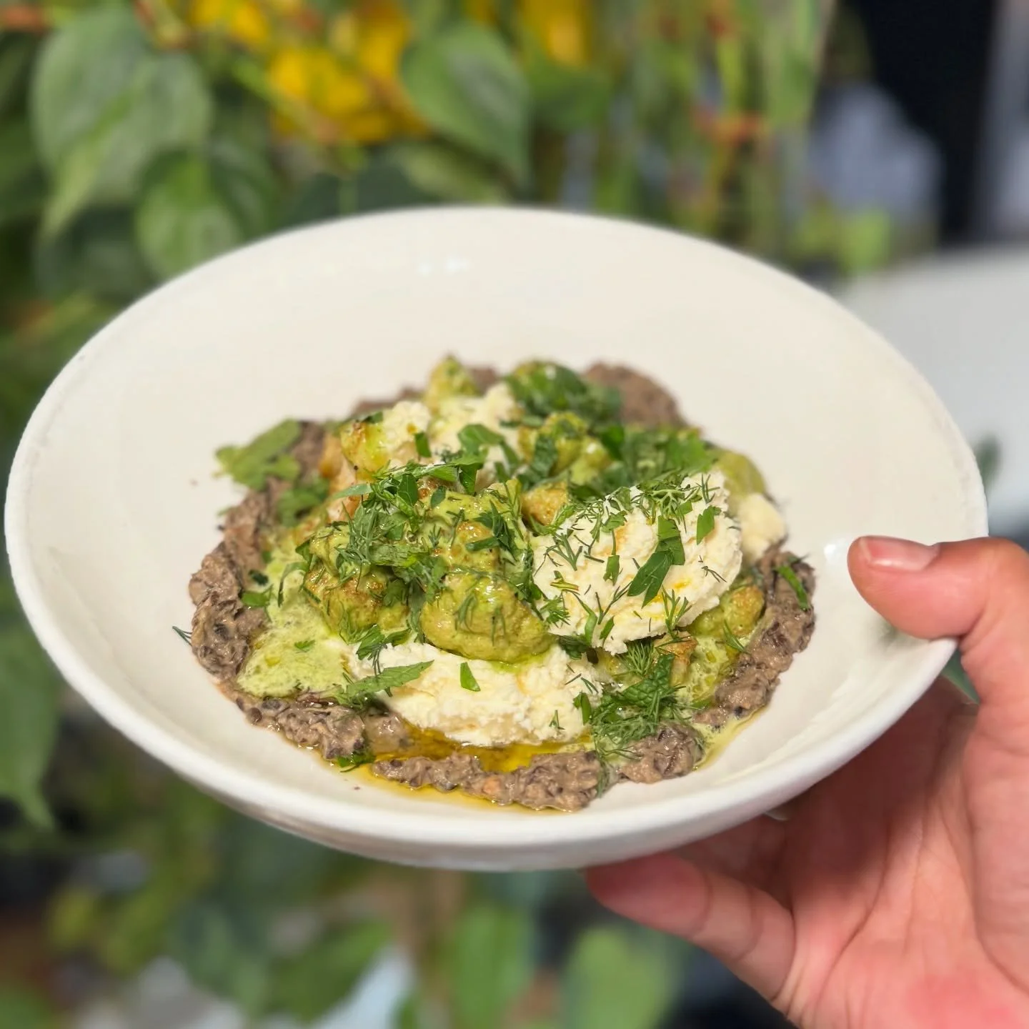 Happy Saturday JR! New on the menu! Fried Cauliflower with a cilantro 🌿 ✨ salsa verde, lentil hummus, and lemon 🍋 mascarpone. Come try our new autumn 🍂 dishes only at @grassapdx. &hearts;️ We are open regular hours from 11am-10pm today. 
&bull;
&b