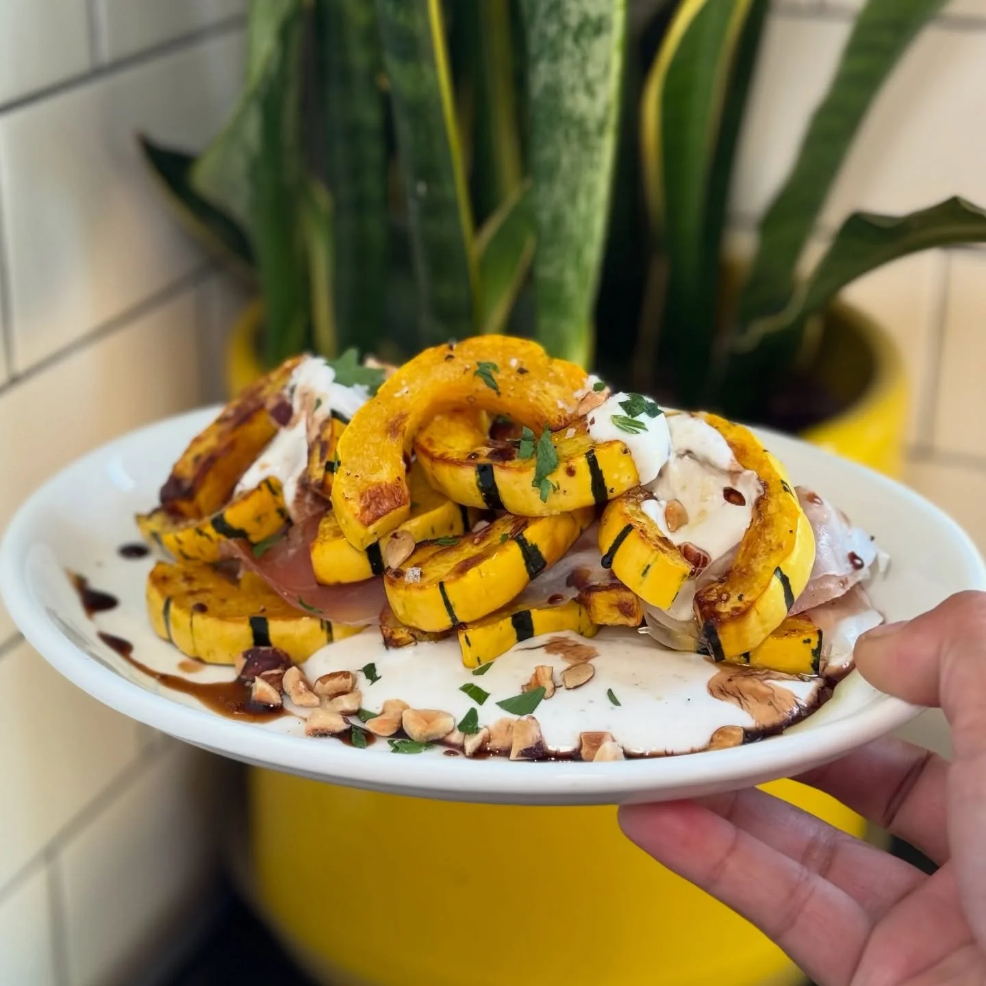 Cold outside. Squash inside! ❄️🎃 Have you tried our delicata squash with prosciutto, honey 🍯 yogurt, and hazelnuts? Or our gnocchi with mushrooms, butternut squash, sage, and apple cider?! We&rsquo;ve heard positive reviews. 😉 Come check it out fo