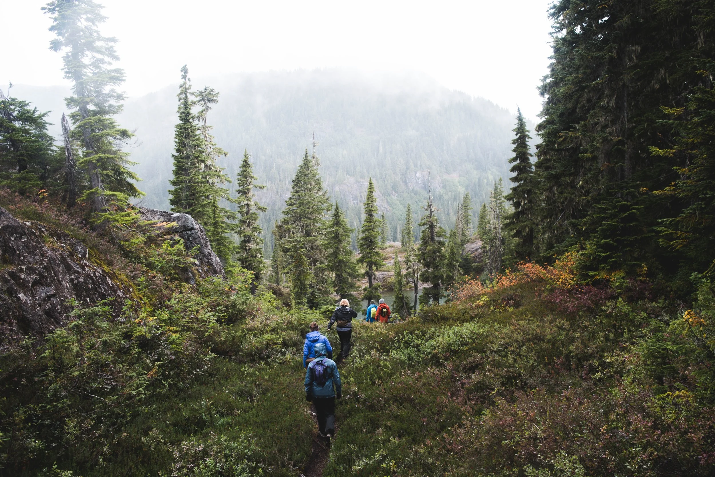 joel-cross-390321-unsplash.jpg