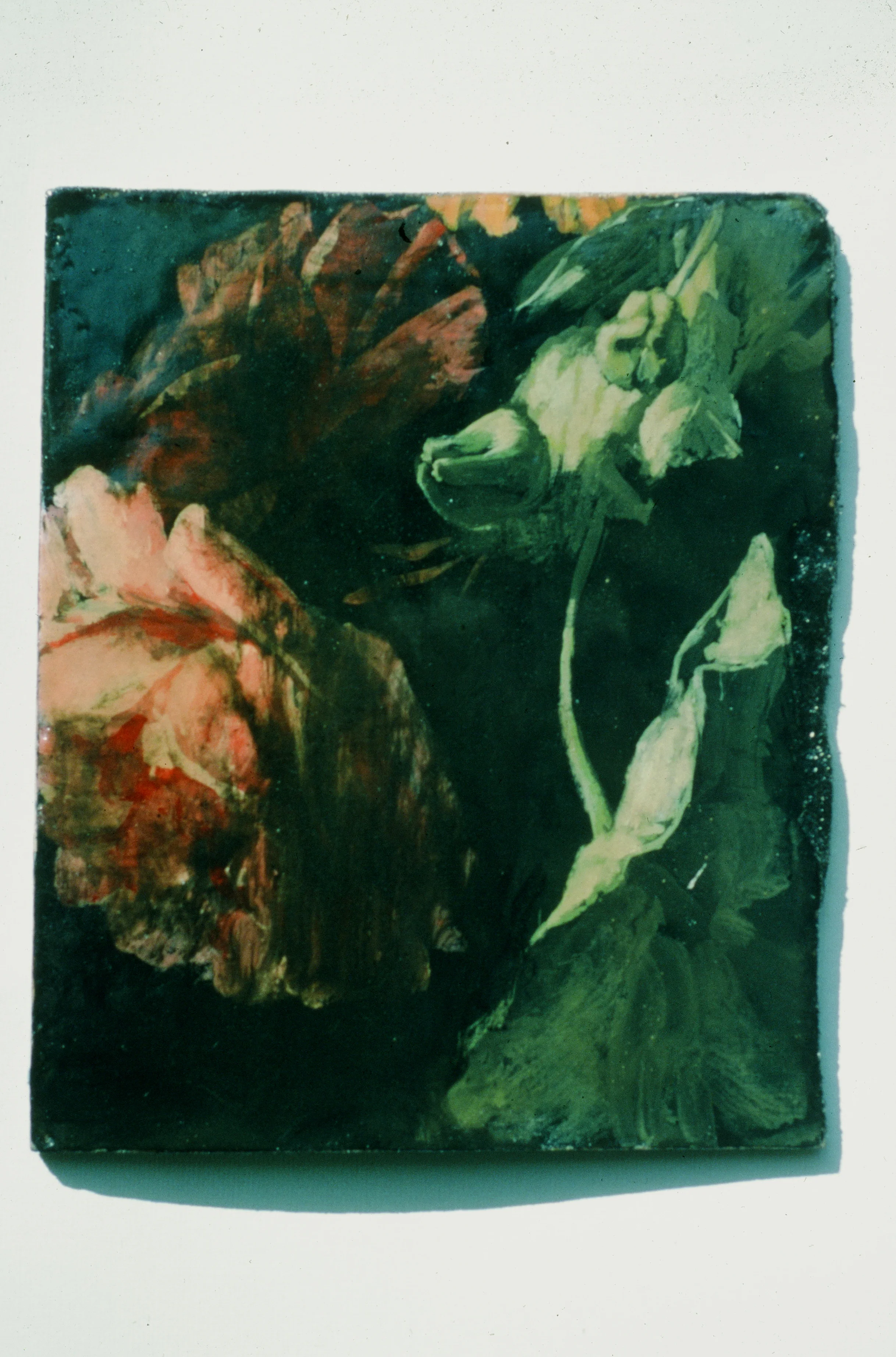 A Rose.jpg