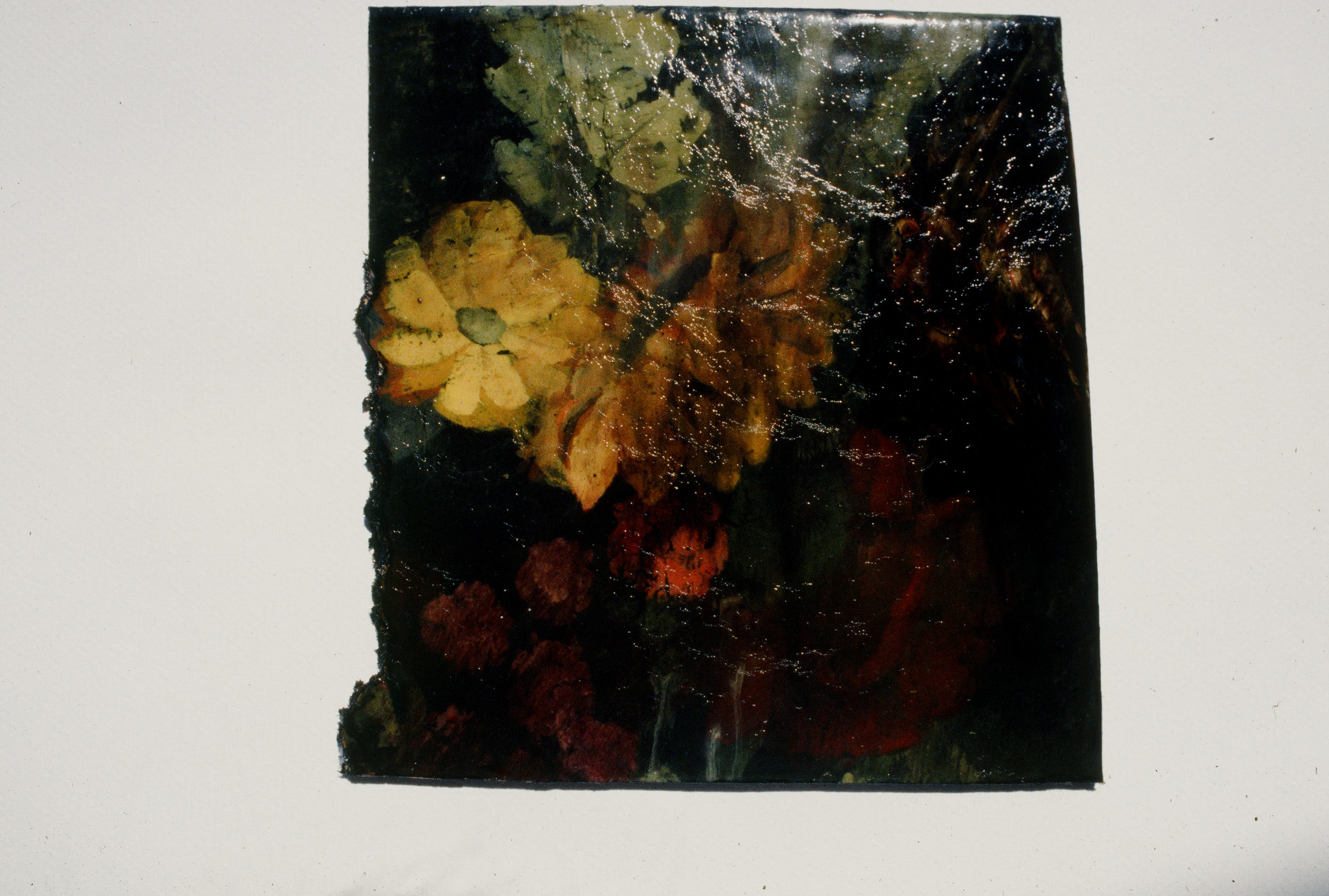 Flowers.jpg