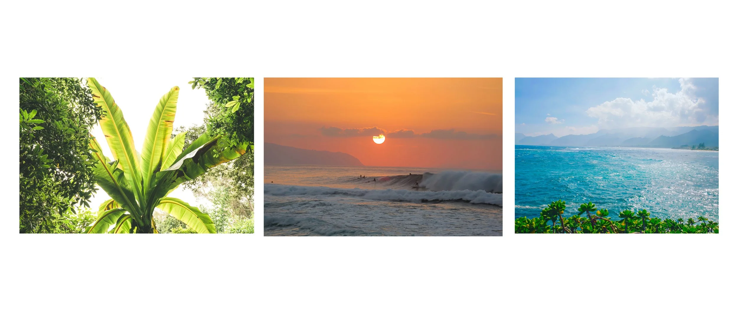 North Shore