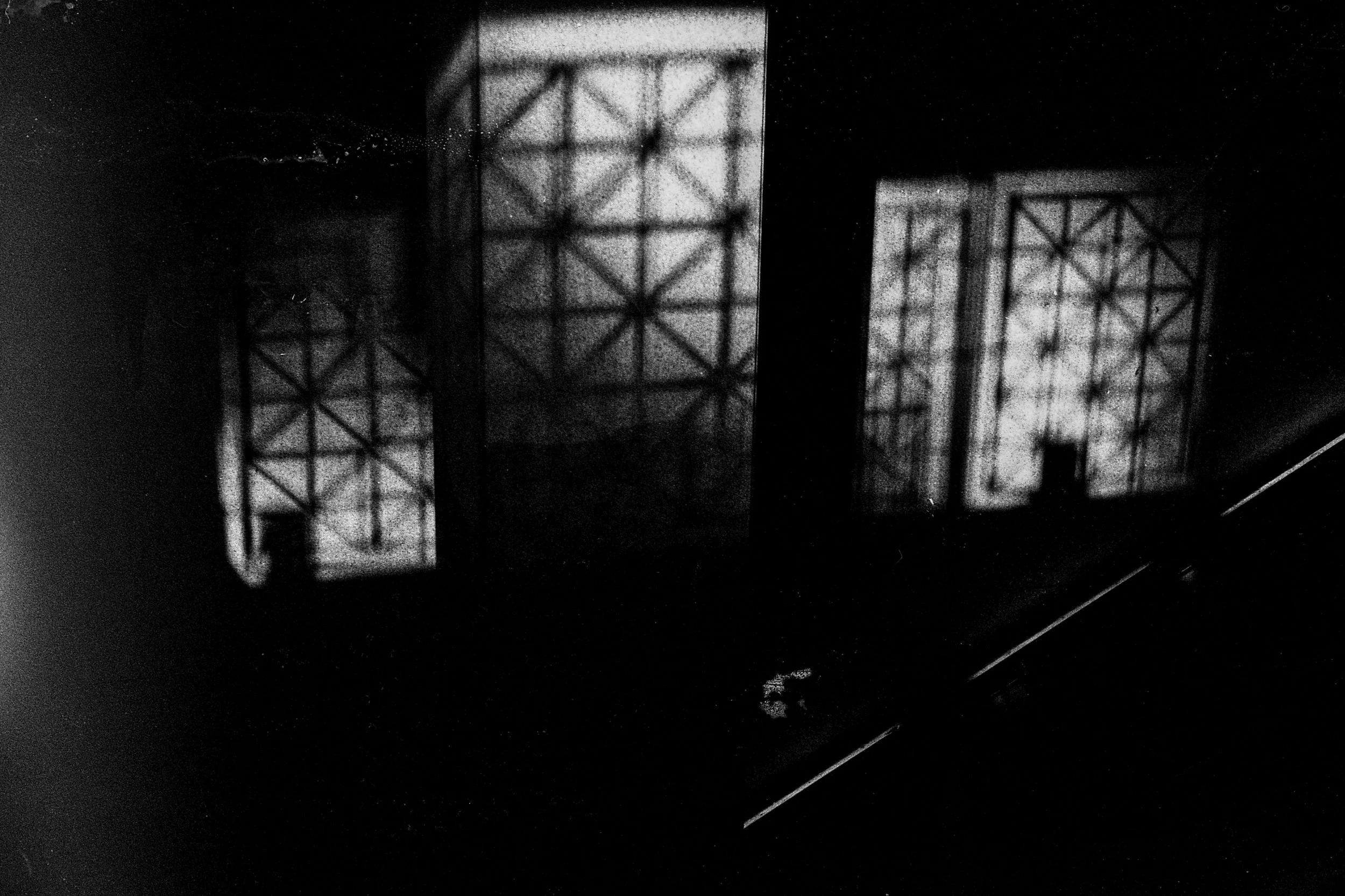 tri-x400-036.jpg