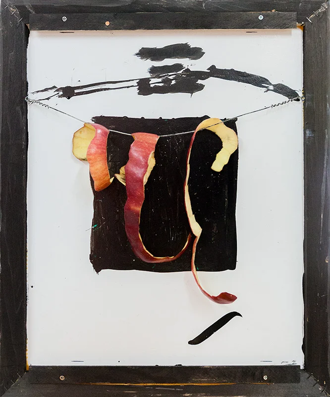 Apple Peels Kanji
