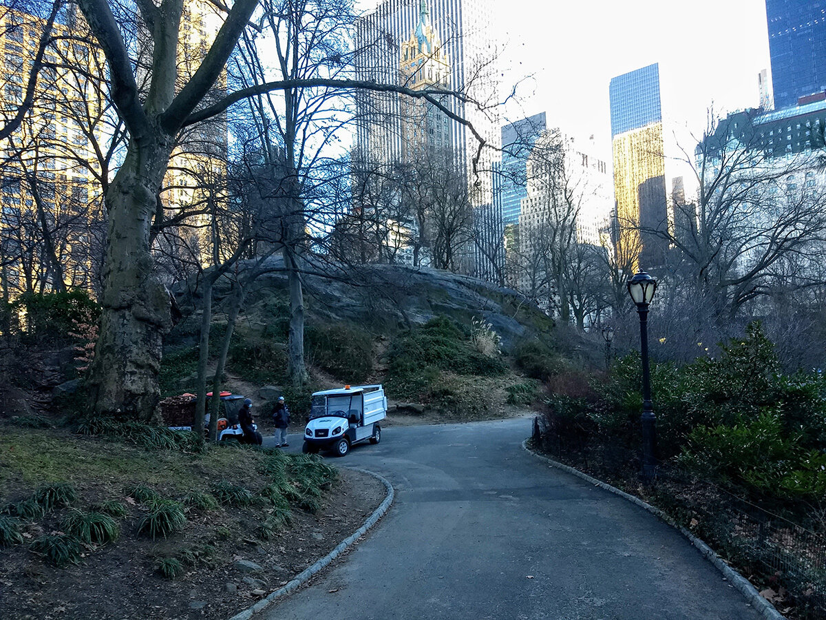 Central Park in January