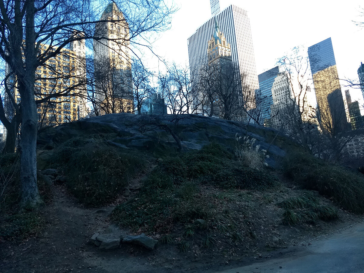 central-park-in-january_04.jpg