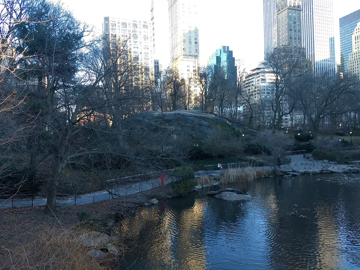 central-park-in-january_05.jpg