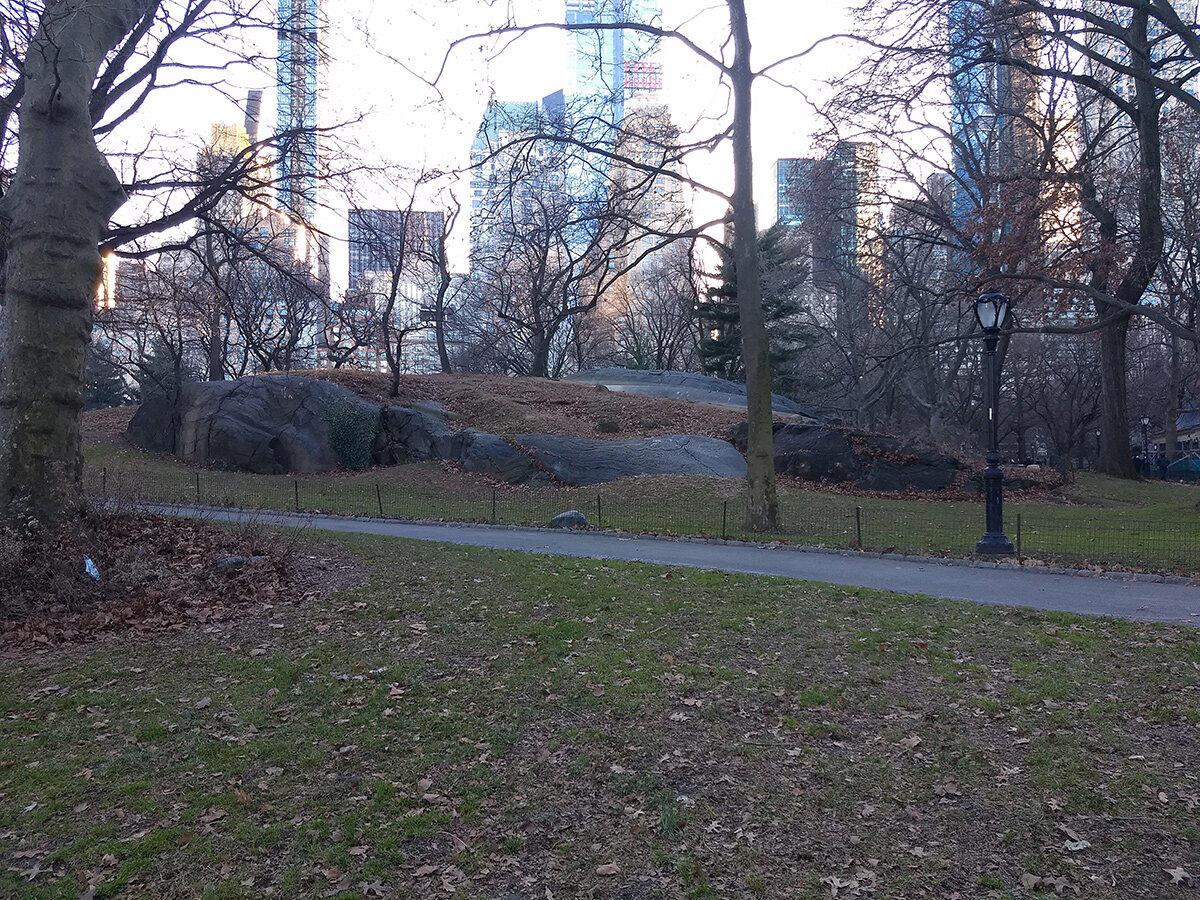 central-park-in-january_12.jpg