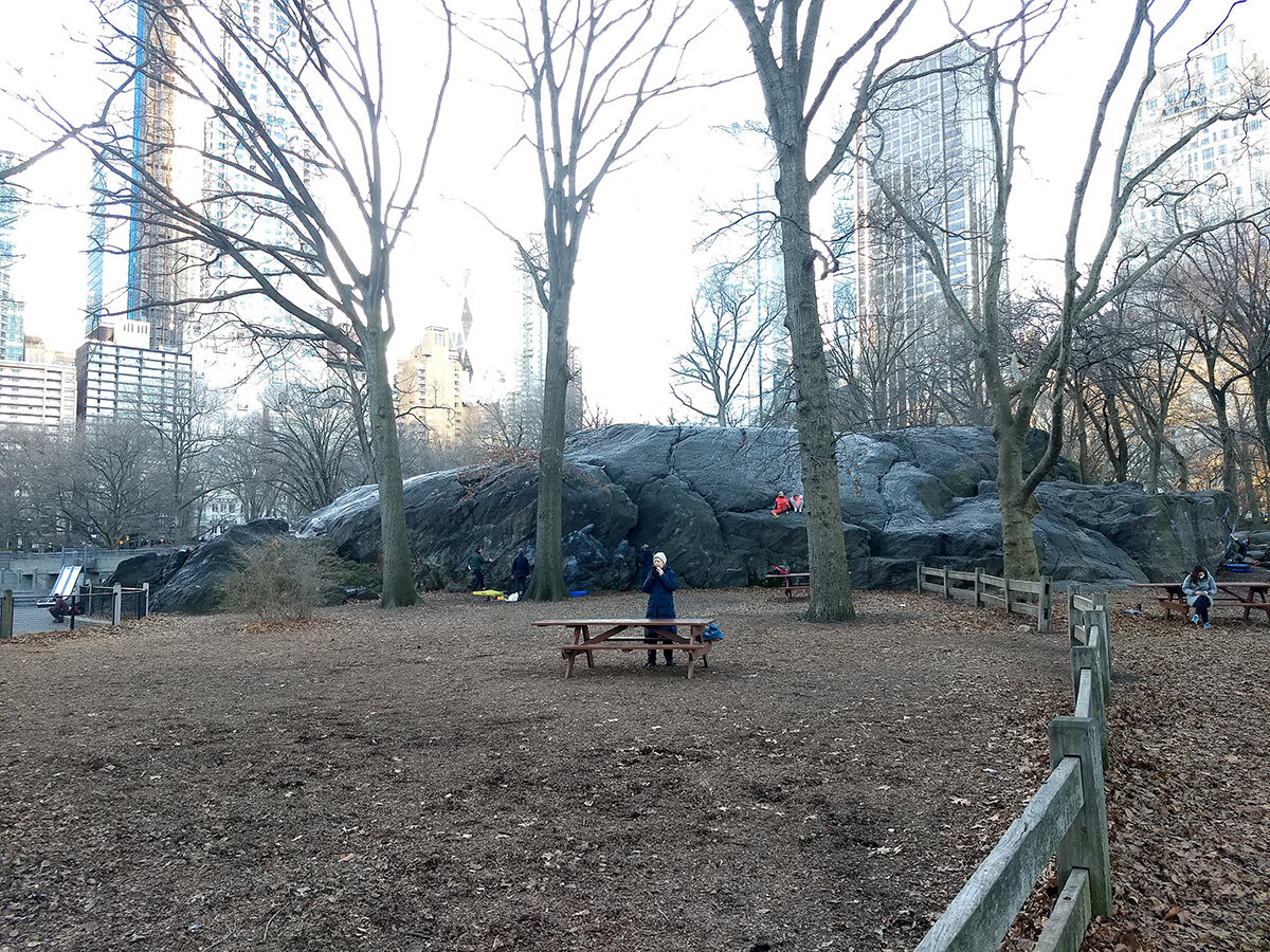 central-park-in-january_14.jpg