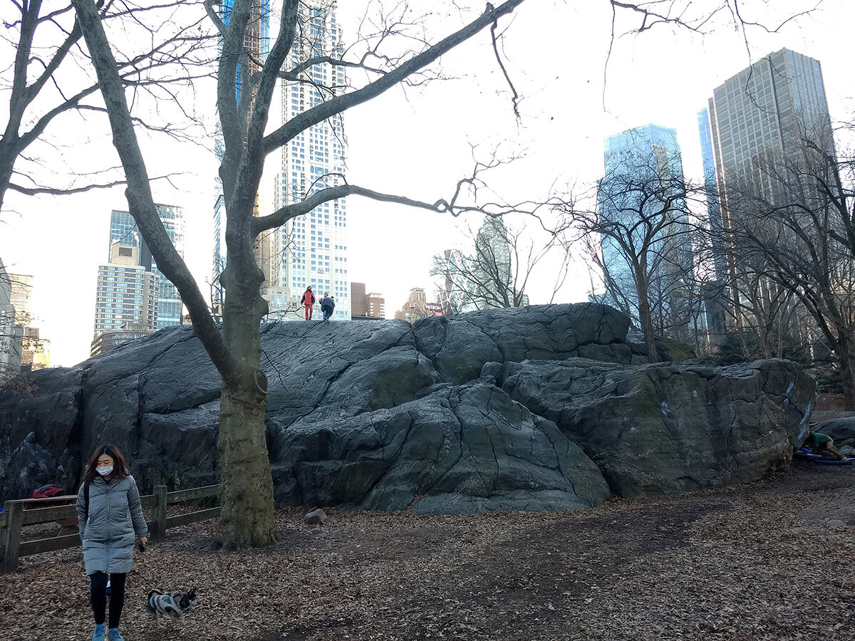 central-park-in-january_15.jpg