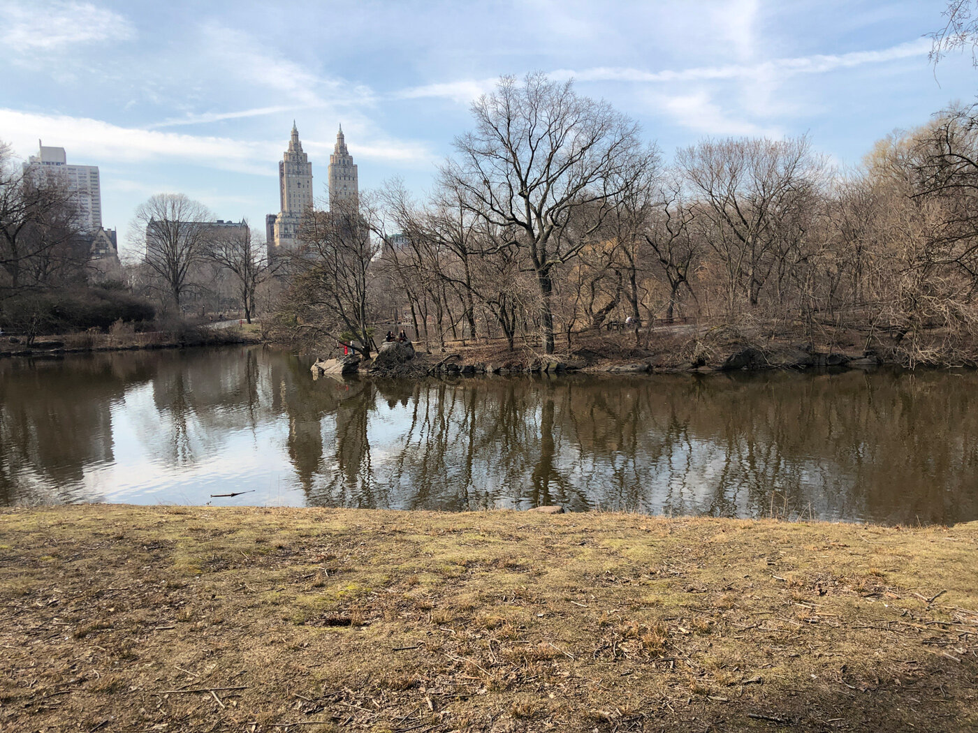 Colors of Central Park in March