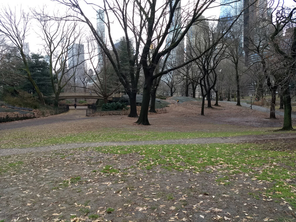 colors-of-central-park-in-march_02.jpg