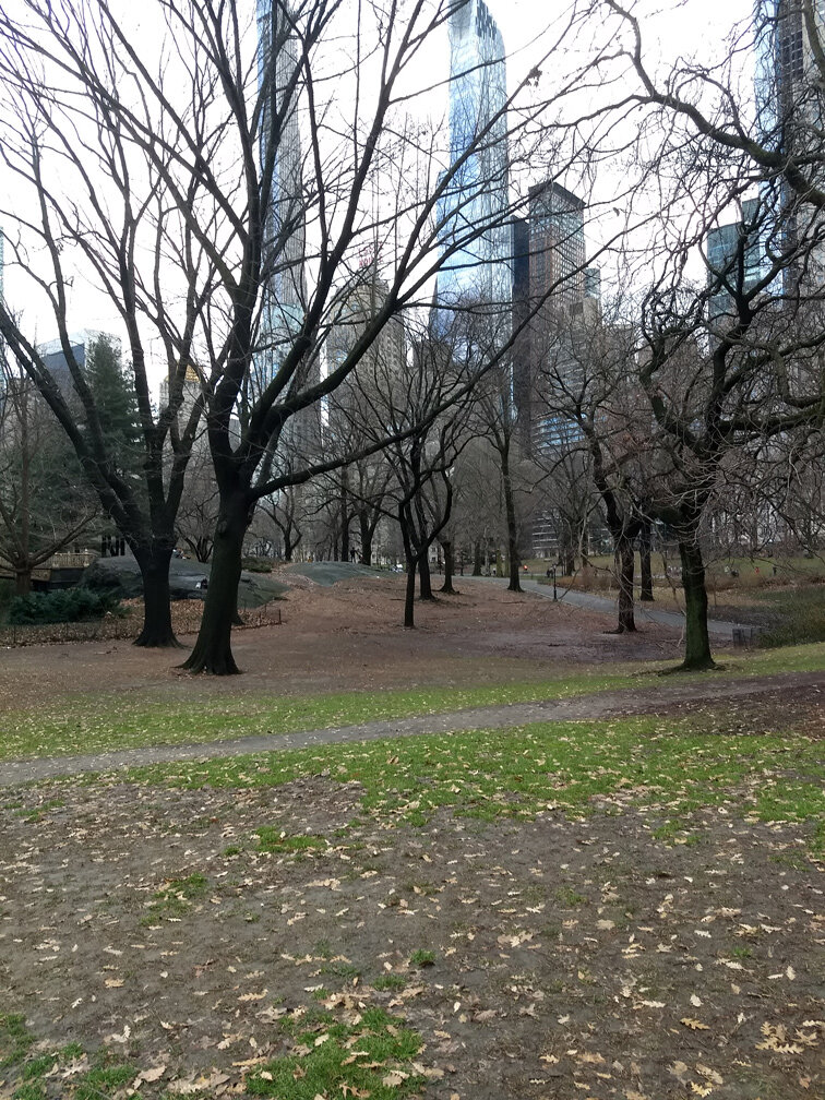 colors-of-central-park-in-march_03.jpg