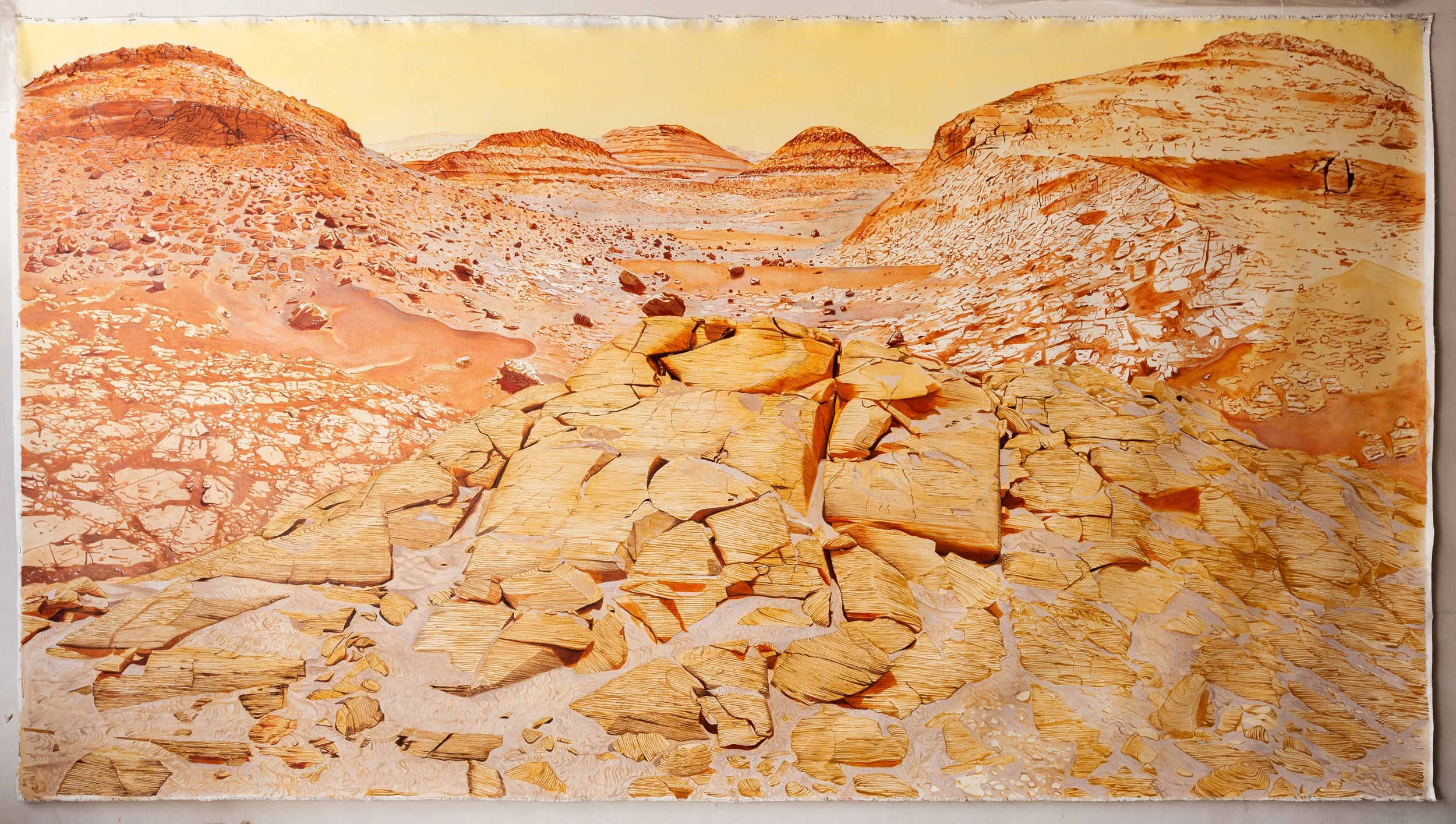 Mars Valley