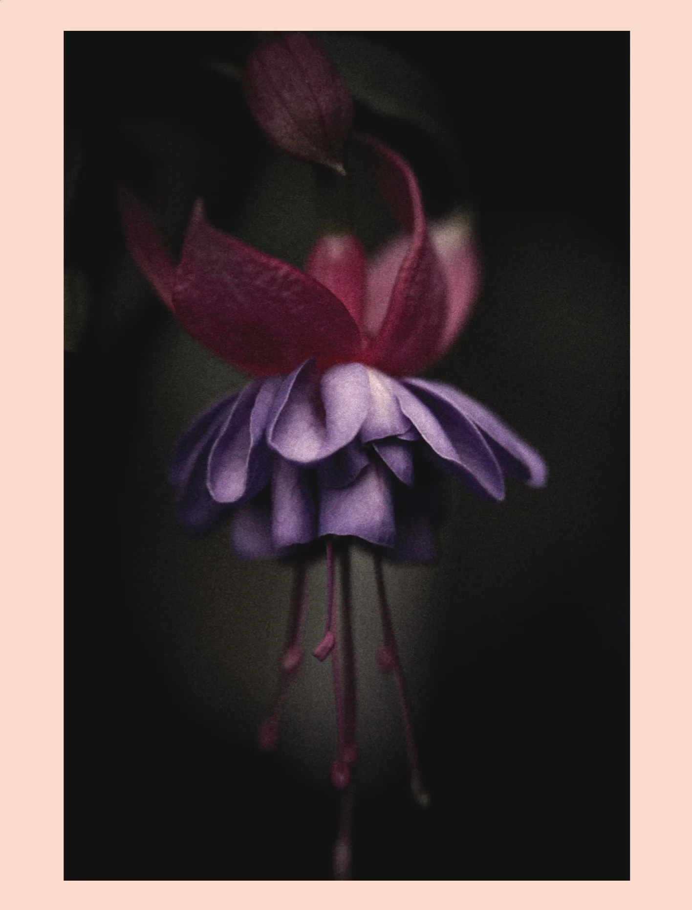 CaroleRey_Metamorphosis_56.jpg