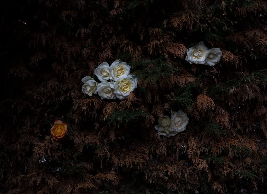 EnchantedFense14-11-18-4.jpg