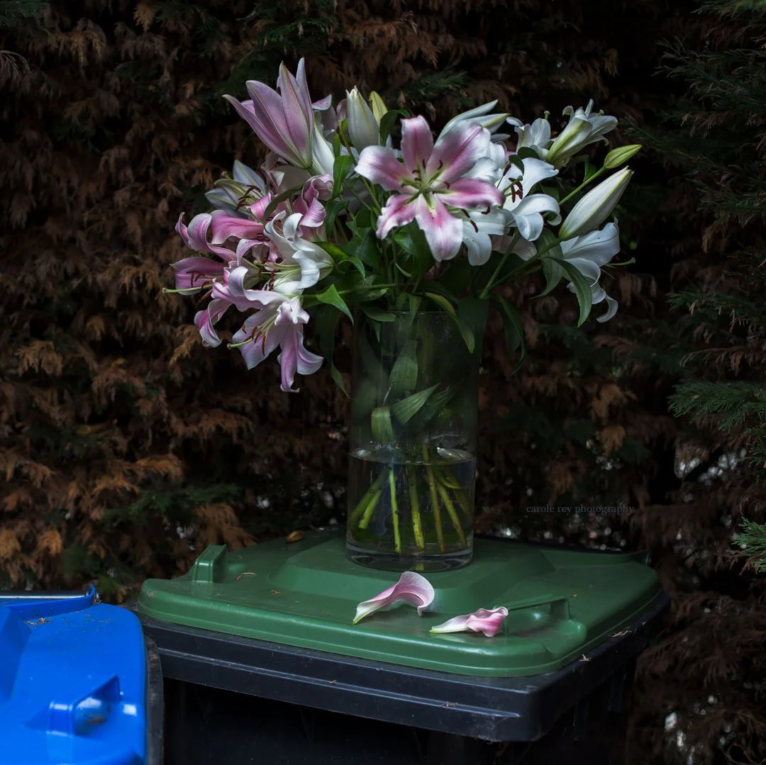 BackstageEnchantedFence21-11-18.jpg