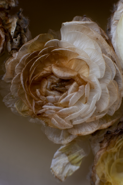 Forty Plus, Here I Am