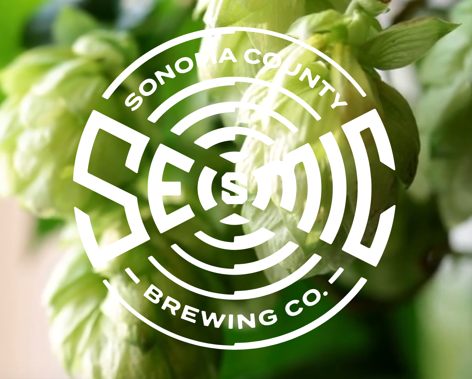 JJB Events — jams joy bungalow