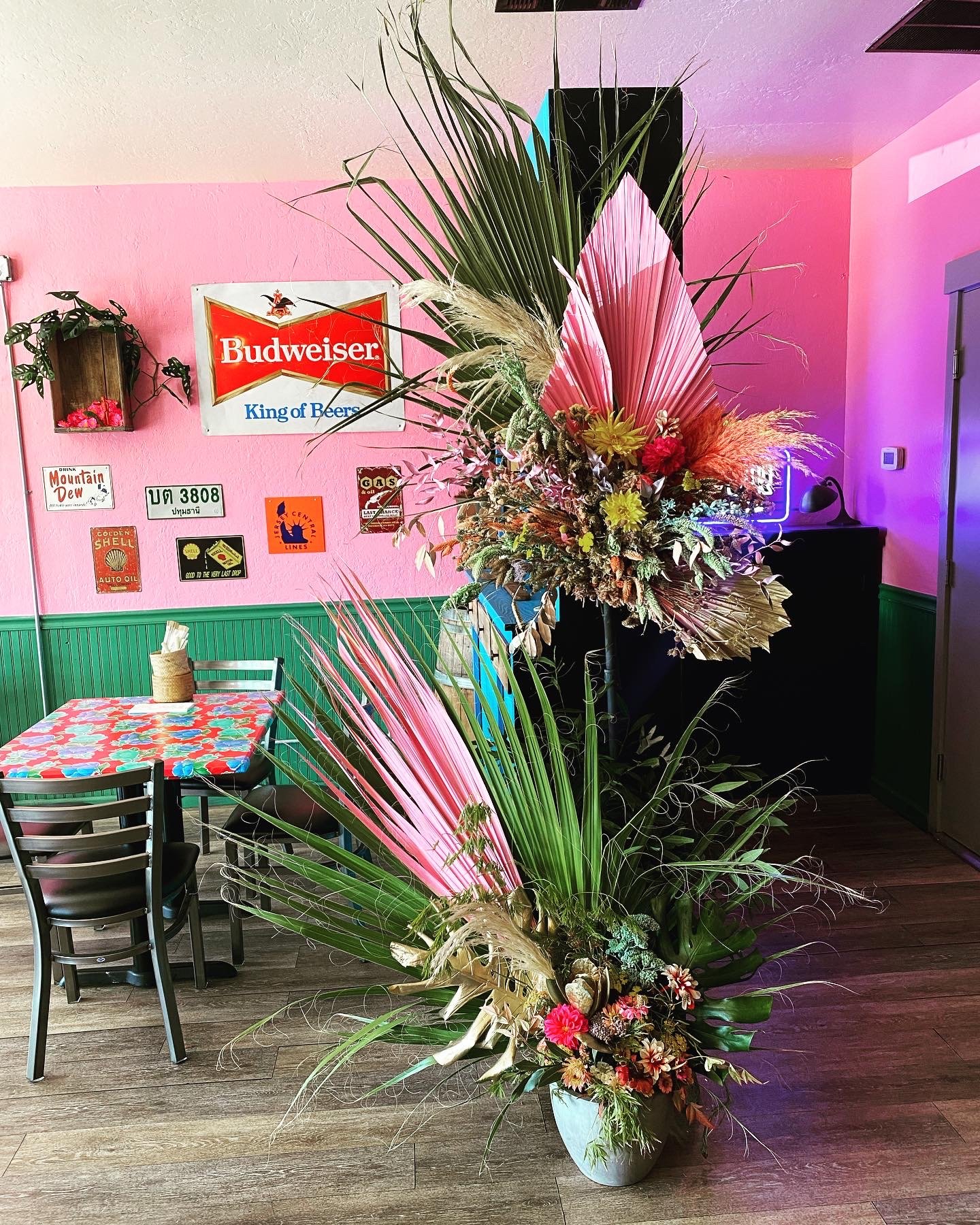 Locations Cotati — jams joy bungalow