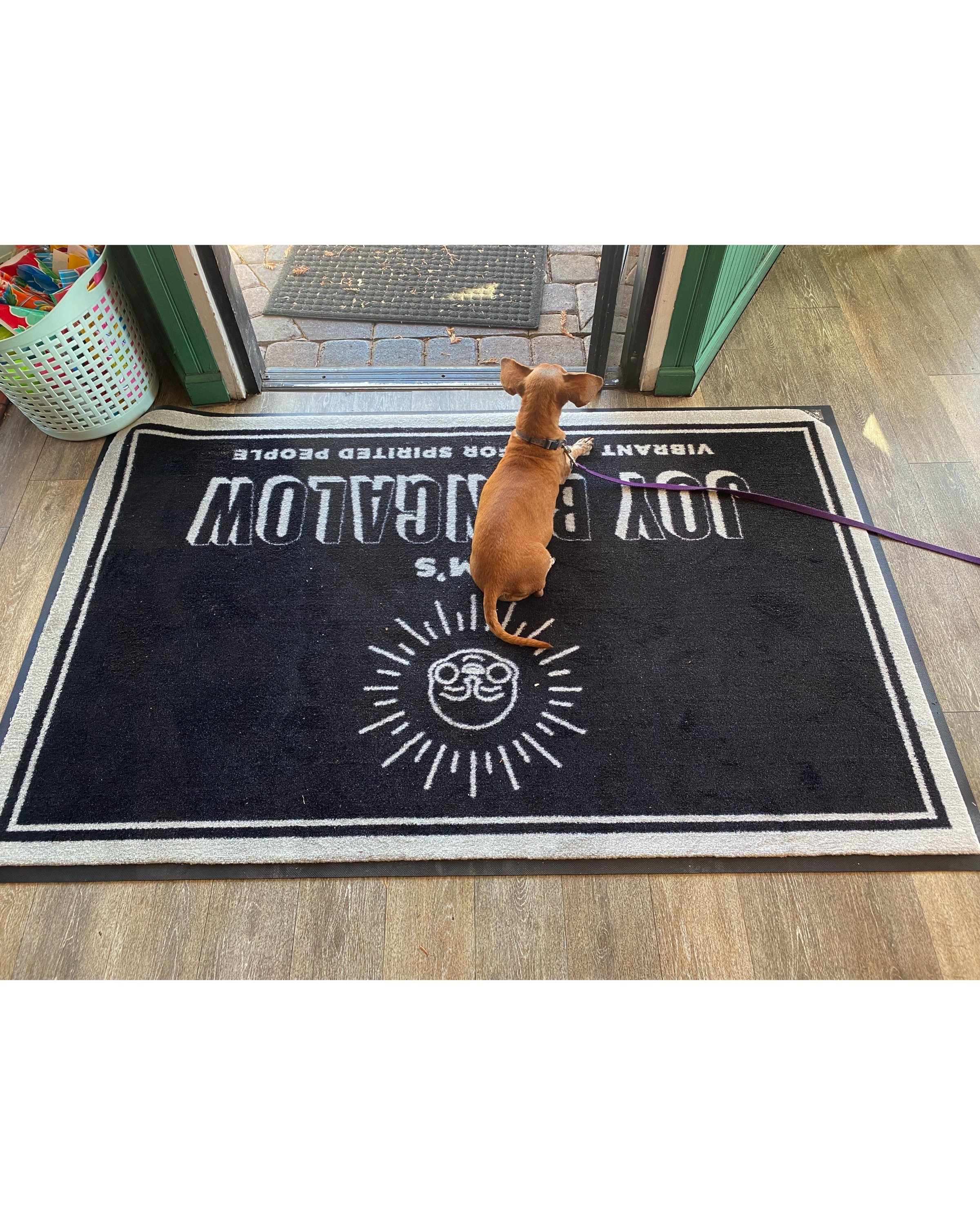 Locations Cotati — jams joy bungalow
