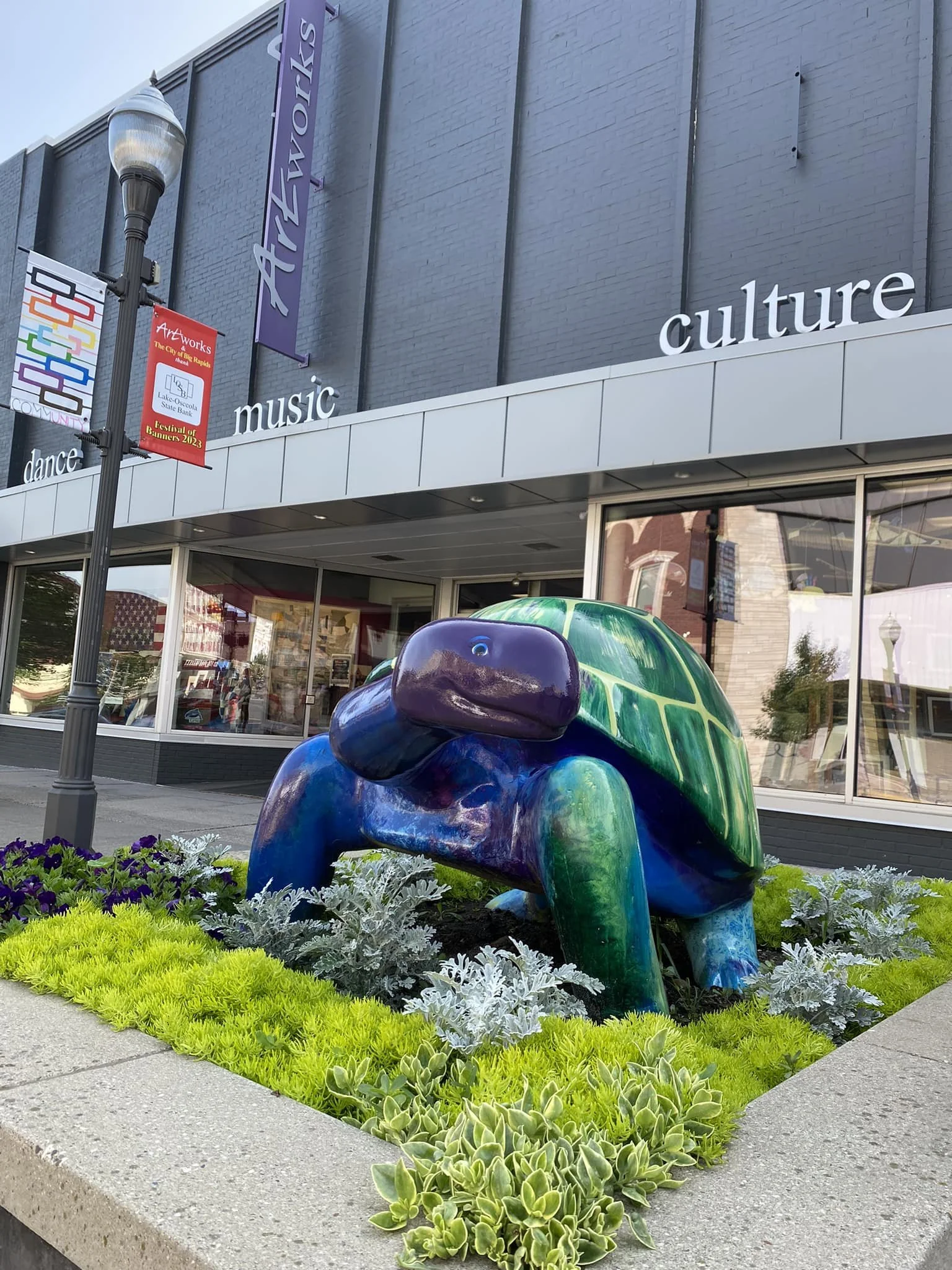 Artworks_Painted Turtle.jpg