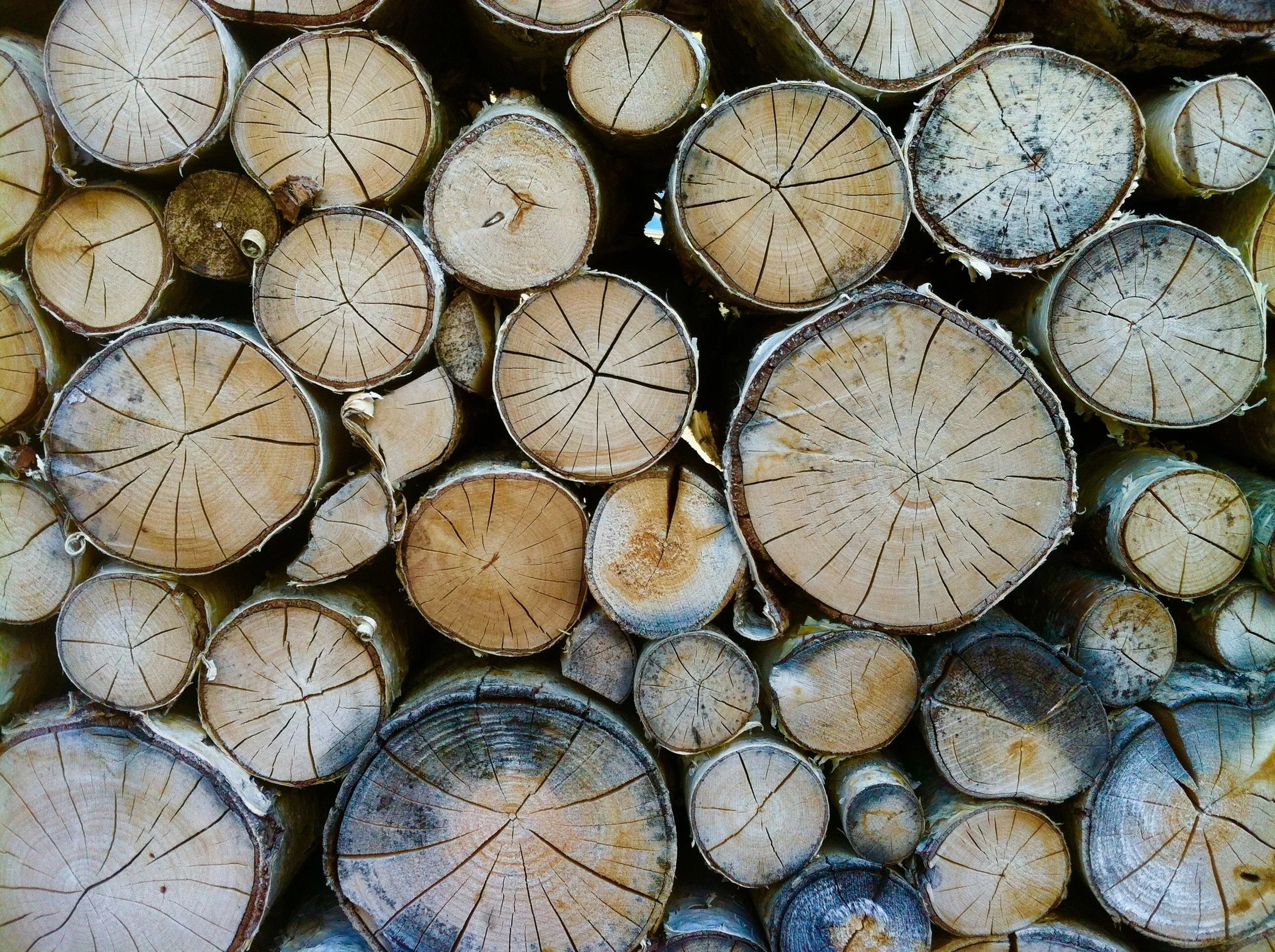 circle wood.jpg
