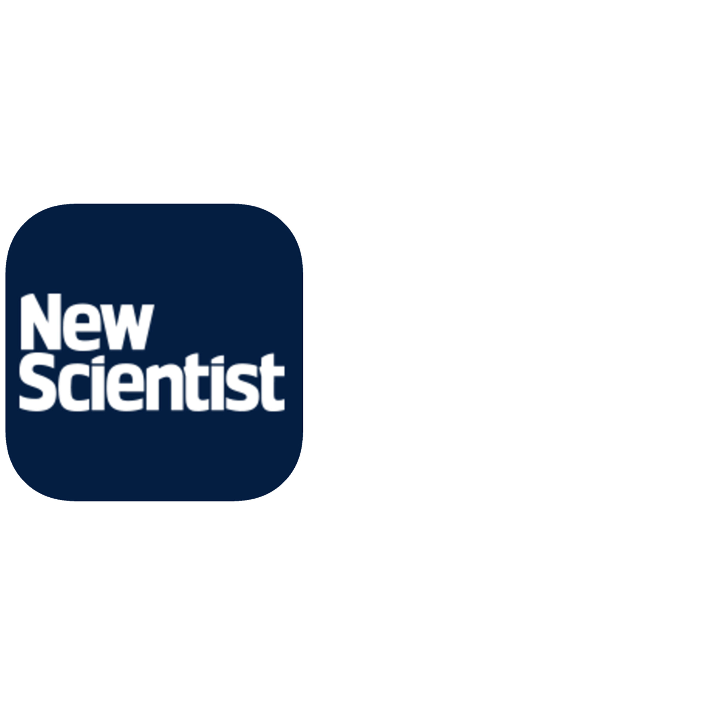 WHAT IS REALLY MISSING FROM AI?