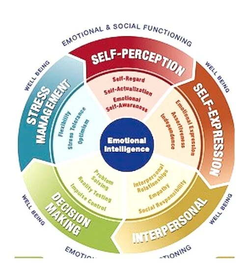 Emotional intelligence for well-being &amp; leadership