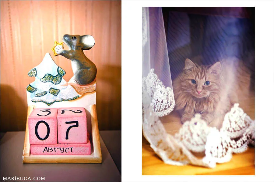 Wedding details at august 7 and the red cat with the veil