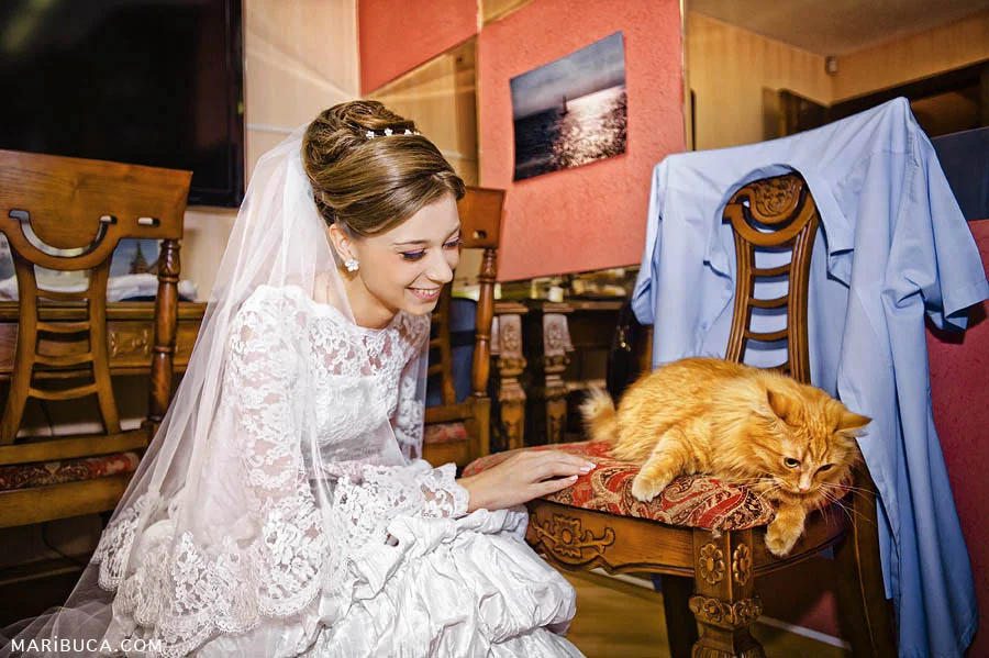 Bride looks at her adorable orange cat