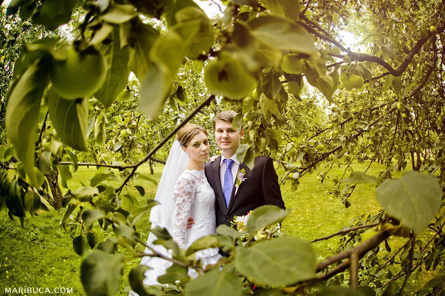 the bride and groom are surrounded by green apples in the apple orchard at sunset.