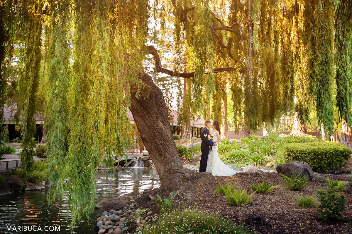54__54-vassona-park-los-gatos-wedding-photo-session.jpg
