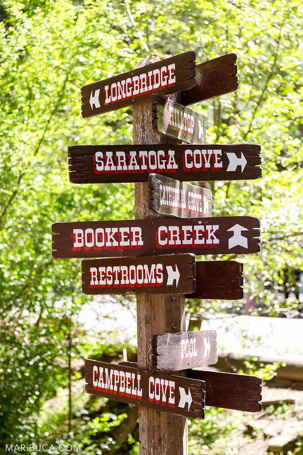 pointers where what is in the Saratoga Springs Venue