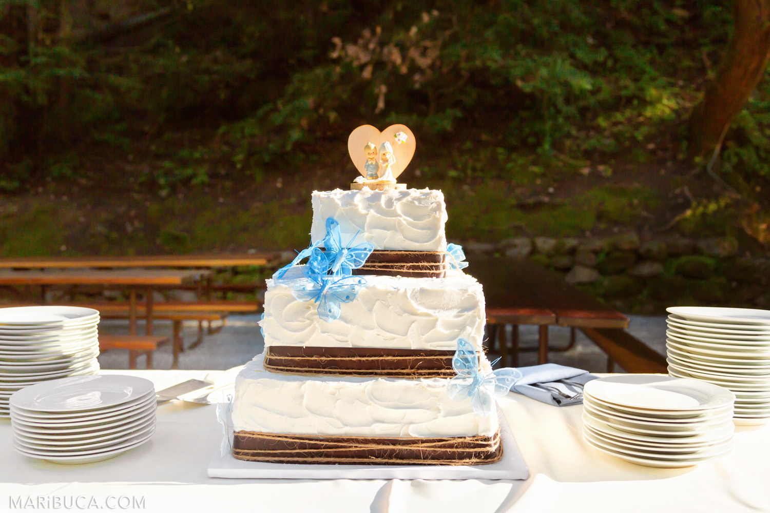 Wedding cake with light blue butterflies in the Saratoga Springs Wedding