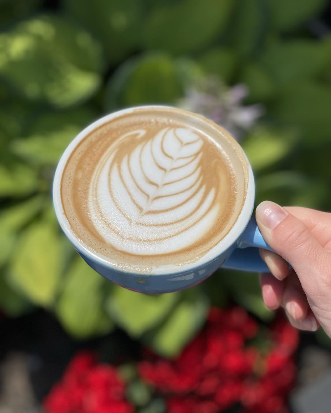 happy Friday 🙌

celebrate by drinking some coffee ☕️ 

#friday #fridayvibes #fridayfeeling #fridaymood #fridayfeels #fridaymotivation #morningroutine #espressolove #morningmotivation #espressoshot #morning #visitbuckscounty #morecoffee #coffeedaily 
